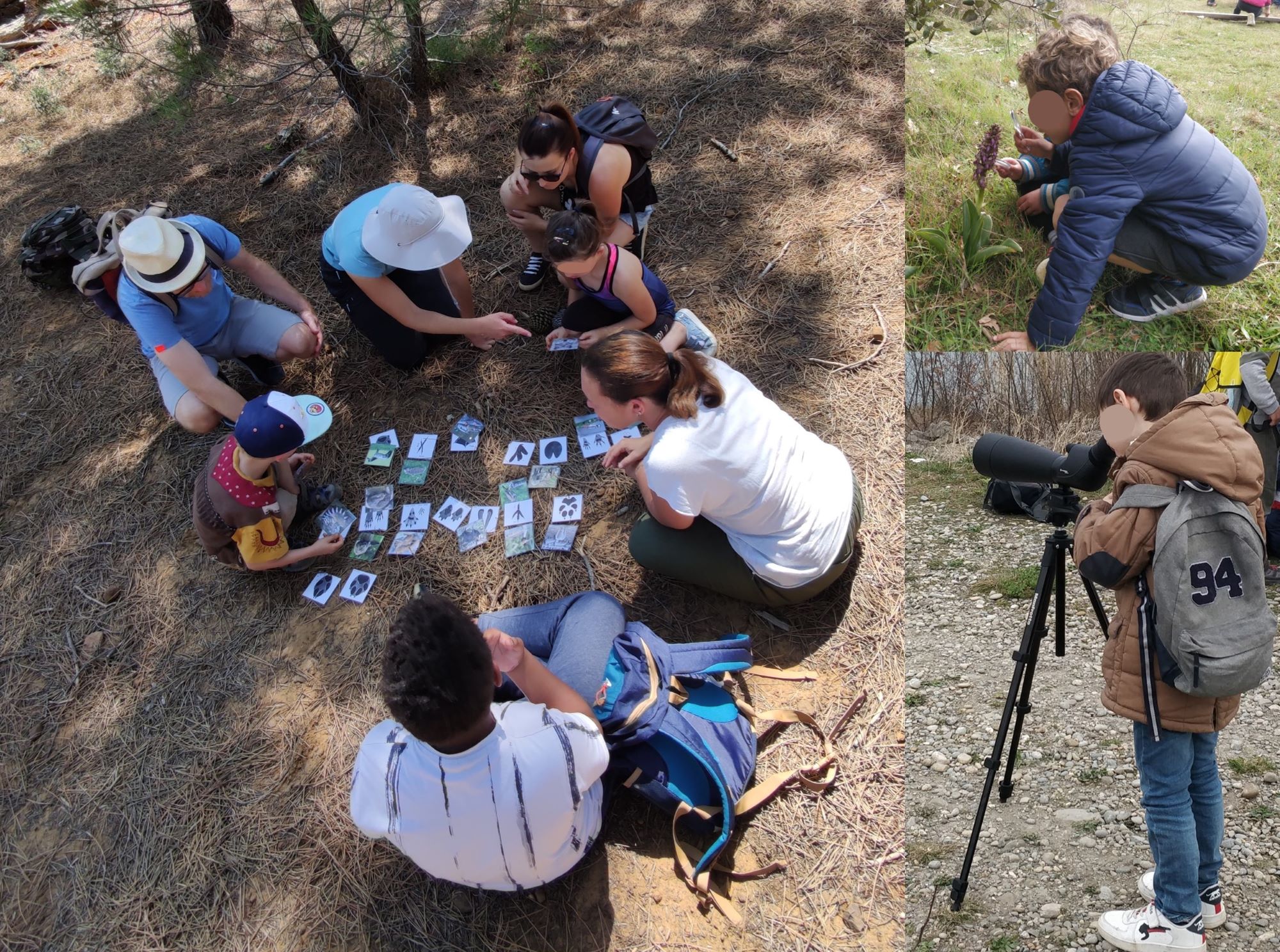 Observations et jeux lors d'une balade naturaliste en famille.