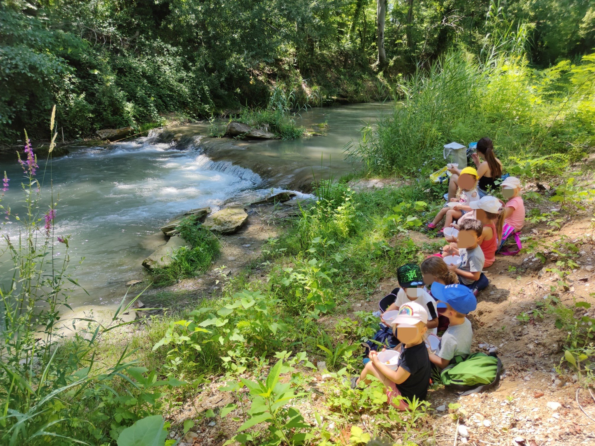 Découverte nature dans le Luberon