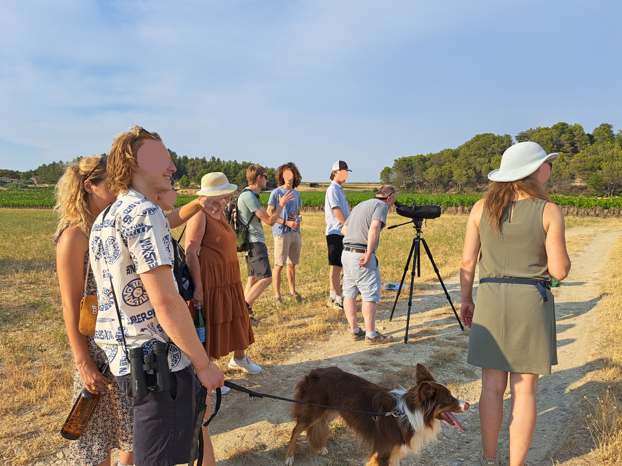 animations pour les professionnels du tourisme