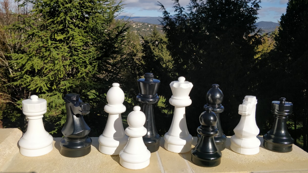 Chess workshop at a Provence villa with La Terre en tête