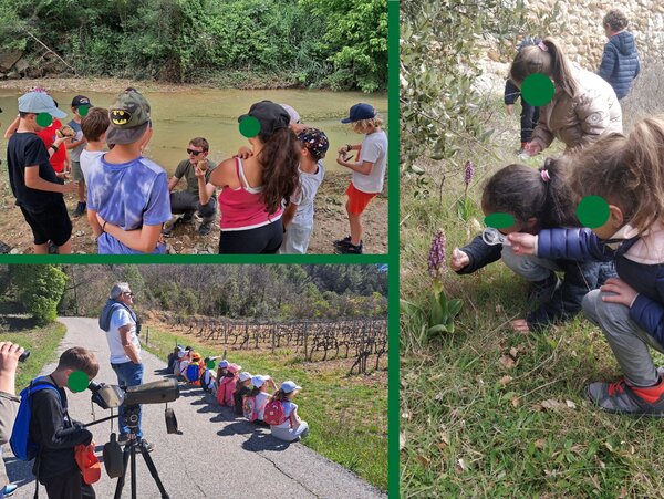 Découverte nature avec des enfants hors de l'école