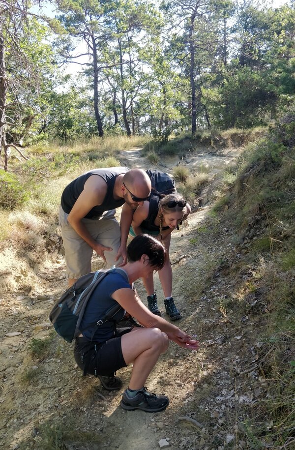découverte de la flore sauvage du Luberon