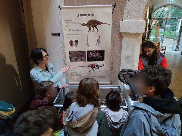 Paléontologie : découverte des dinosaures de Provence